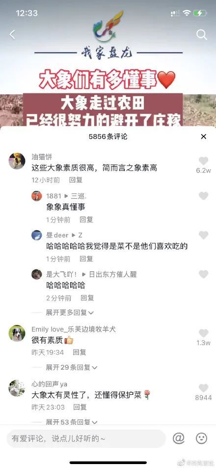 第一步：认清你自己——挖掘内心的宝藏
