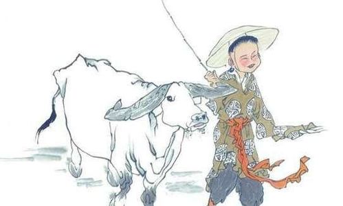 三藏算命：这位小女子为何能预测未来，她的算命生涯有何秘诀？