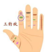 2. 性格特质的双面性分析