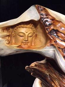 （一）高度适宜性