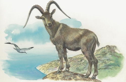 属羊遇见属马的婚姻如何？78属马和79属羊的相配吗，他们之间会有怎样的婚姻关系呢？