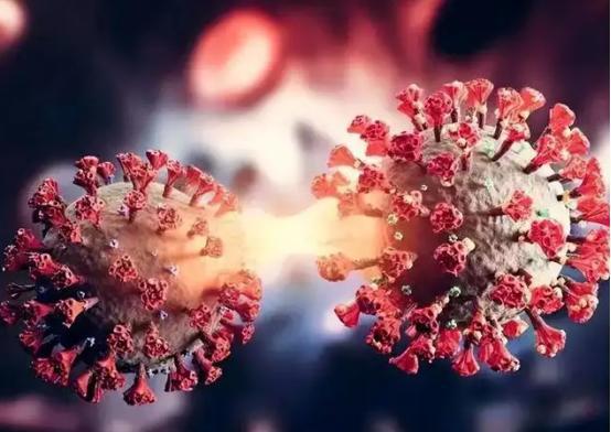 1. 植物摆放：净化气场、增添生机