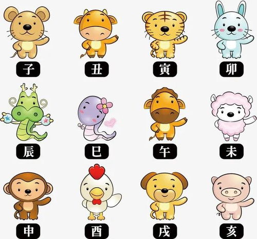 ：十二生肖中行为不容简单以捉摸且显得尤为不讲道理的现象概述