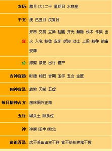 ：乙巳年七月的时空场域与能量流转