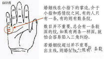 三、 故里难归手相与职业倾向及人生轨迹之关联分析