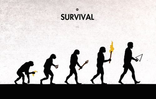 ：研究背景及意义