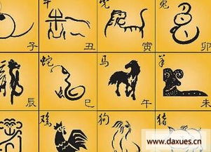 十六画属火吉利字和六画属火字大全分别有哪些？