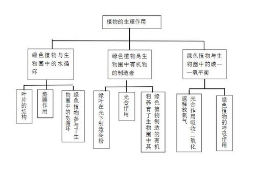 2. 专业八字分析系统的运用