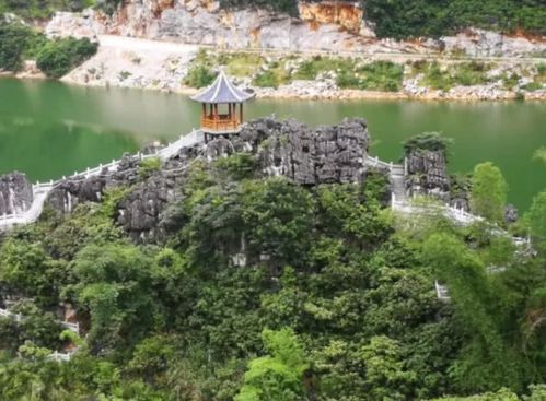 3. 防坑指南？不如叫保命手册！