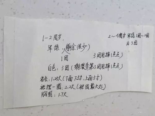 “美”字的字义与文化意涵