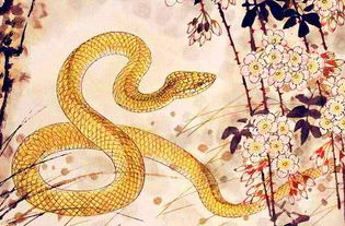 8月24日属蛇人的本命佛蛇究竟是指哪位神祇？