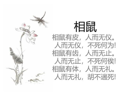 一、 ：《诗经》作为姓名源泉的历史持续发展渊源