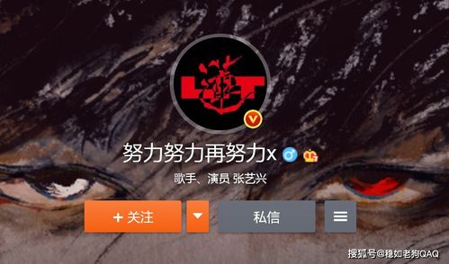 四、 风水学的视角：吉祥和谐的字词选择