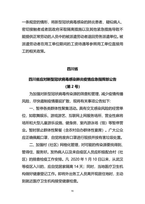 如何收集整理一份全面的小狗起名大全集，提供实用的起名建议？