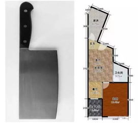 三、 律法责任与社会规范