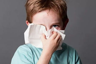 一、 老祖宗留下的玄学智慧：鼻子耳朵闹脾气背后的惊天秘密