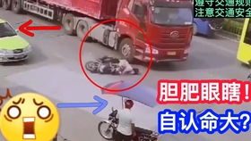 三、 案例比对与多元实例分析