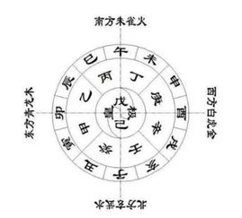 哪个星座属于哪个五行属性？十二星座五行分类图解？