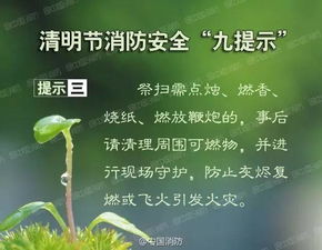 一、 关于《CLEAR MING  的由来