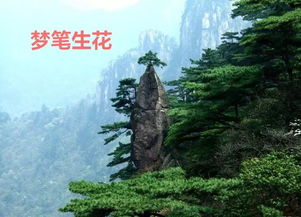黄山旅游攻略：小杨哥亲述的黄山之旅