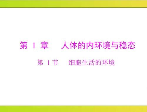 一、  经典阅读与迷茫期的精神指引