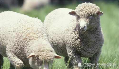 三、 财政危机的成因及预算规划的十分沉关键性