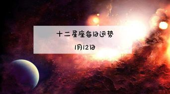 生肖星座视角的潜在关联