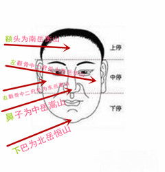 1.1 脸型与骨肉结构