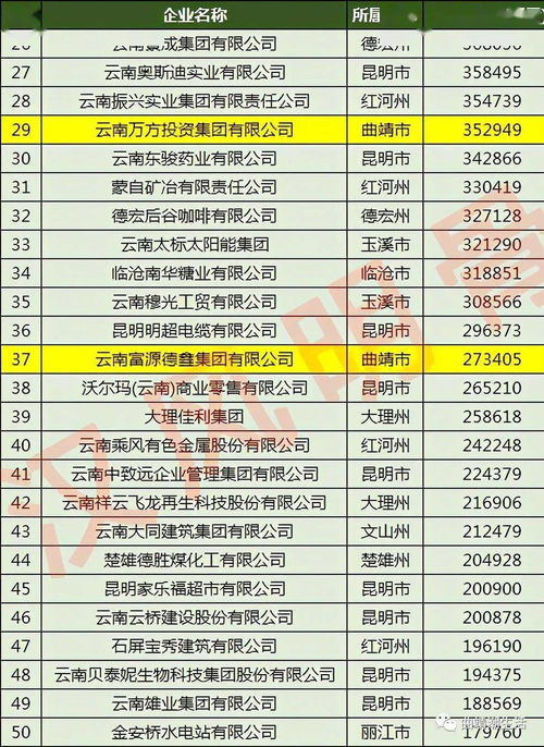 行业解析与机遇