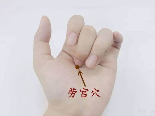 一、 双掌姿势的形体特征与功能内涵