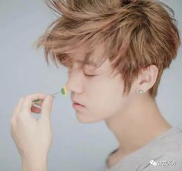 以“宏”为例：扭曲的金属性质解读