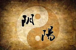 六、 实践路径：从仪式到日常行为