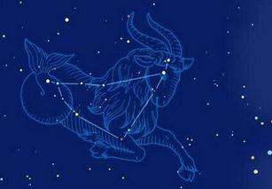 咖啡色系的能量调和