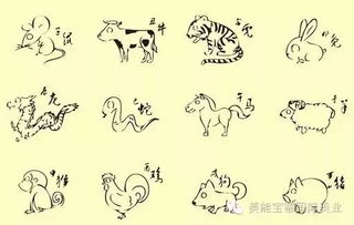 农历七月二十三日属什么星座，当天十二生肖运势如何？