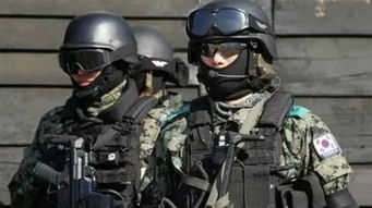 ：午夜警戒与神秘黑影的交叉现象概述