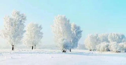 一、 雪字的魅力：五行、笔画与寓意