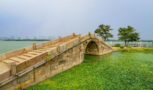 深度文化游必逛的3个“非典型”展园