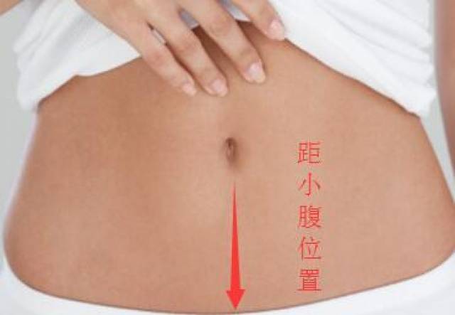 研究方法概述