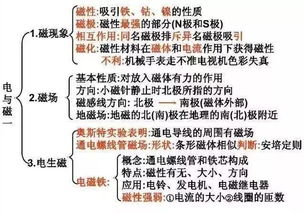 一、 基础概念与分类框架