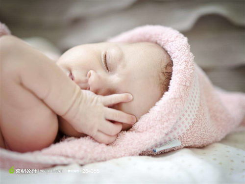 生肖元素：老一套与新潮的交融