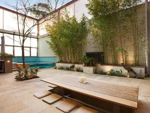 2. 听觉美学与意境营造