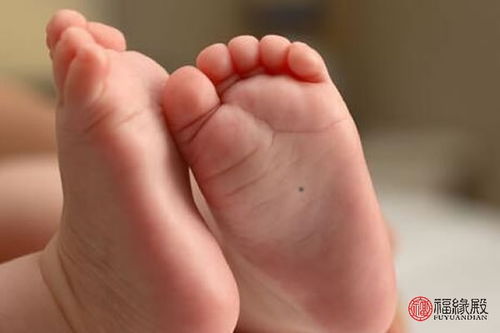 1. 脚背与脚侧面的含义