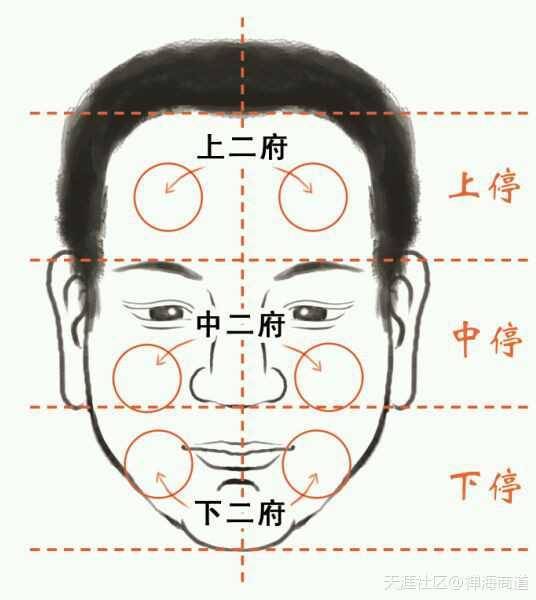 鼻颧齐高男人的能力和驾驭力