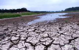 河床开裂对当地风水环境会有哪些不利影响？