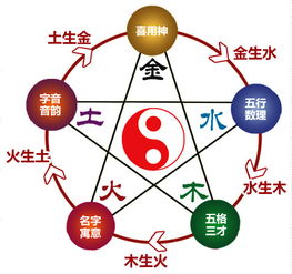 一、 八字伤灾的成因探究：五行生克与十神的影响