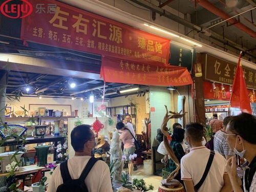 案例一：某较小镇上的鹦鹉较小屋