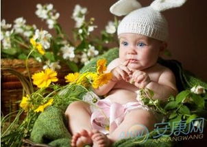 2017年出生的鸡年陈姓男宝宝，有哪些好听的取名建议？