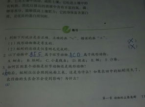 结论