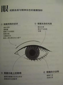 ：面相图解与观人测心术的理论基础与实践应用