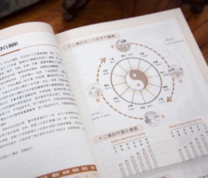 地域影响：环境因素对命运走向的微妙作用